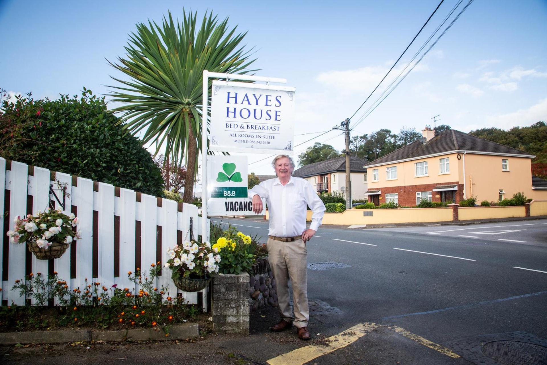 مبيت وإفطار Hayes House كيلارني المظهر الخارجي الصورة